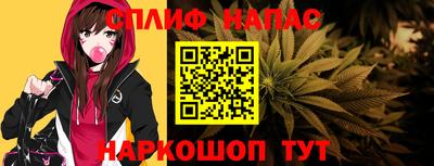бошки Владимир