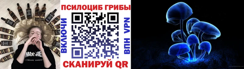 Псилоцибиновые грибы Psilocybe МЕГА рабочий сайт Великий Новгород